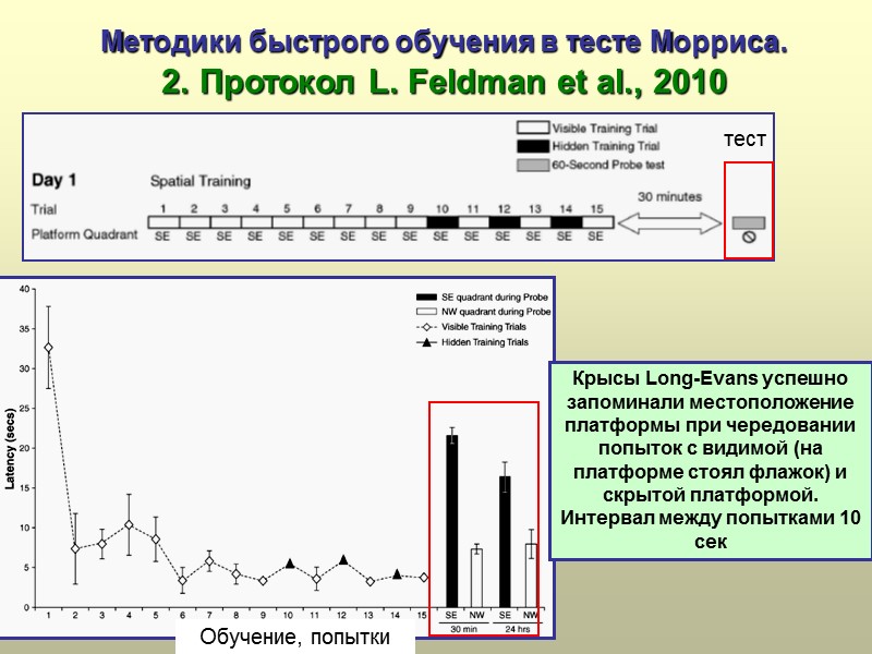 Методики быстрого обучения в тесте Морриса.  2. Протокол L. Feldman et al., 2010